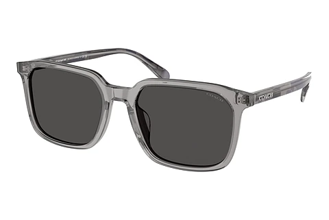 Sunglasses Coach CW405 (HC8411U 584987)