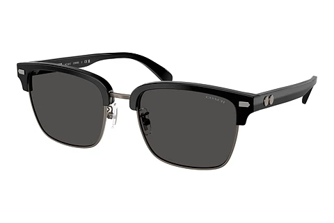 Sunglasses Coach CW406 (HC8412 500287)