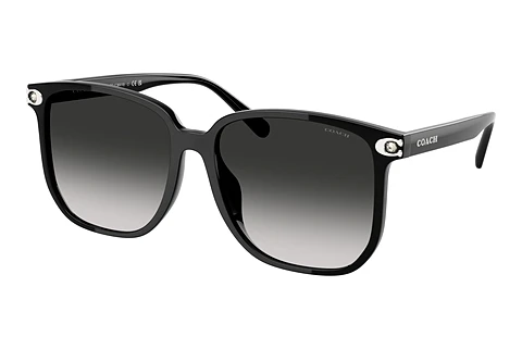 Sunglasses Coach CW419 (HC8413BD 50023C)