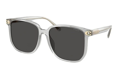 Sunglasses Coach CW419 (HC8413BD 561487)