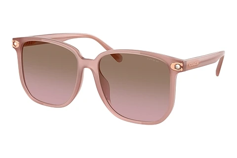 Sunglasses Coach CW419 (HC8413BD 583914)