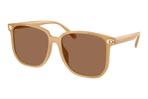 Sunglasses Coach CW419 (HC8413BD 585473)