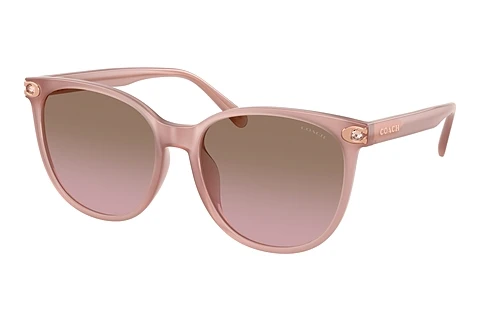 Sunglasses Coach CW428 (HC8414BD 583914)