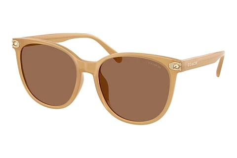 Sunglasses Coach CW428 (HC8414BD 585473)