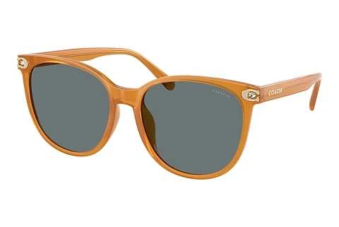 Sunglasses Coach CW428 (HC8414BD 585580)