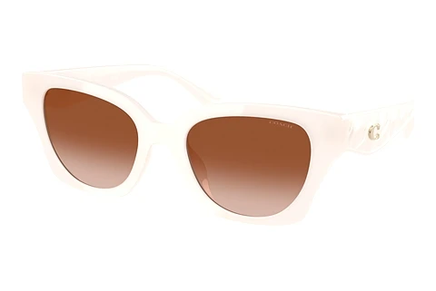 Sunglasses Coach CAD18 (HC8418U 580513)