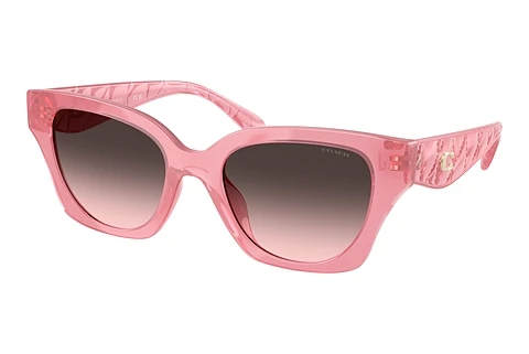 Sunglasses Coach CAD18 (HC8418U 589646)