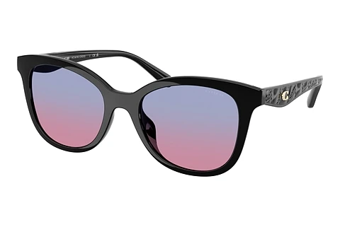 Sunglasses Coach CAD25 (HC8419U 500218)