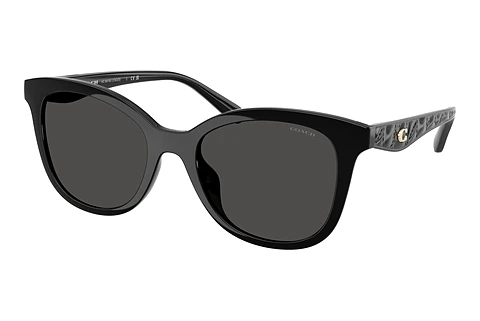 Sunglasses Coach CAD25 (HC8419U 500287)