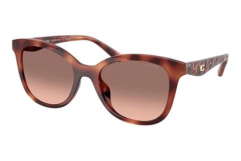 Sunglasses Coach CAD25 (HC8419U 577413)