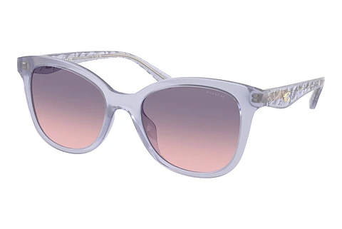 Sunglasses Coach CAD25 (HC8419U 5873I6)
