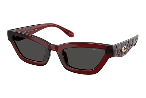 Sunglasses Coach CAD28 (HC8420U 587487)