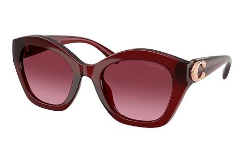 Sunglasses Coach CAD31 (HC8421U 58708H)