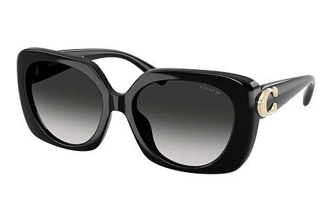 Sunglasses Coach CAD33 (HC8422U 50023C)