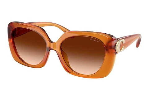 Sunglasses Coach CAD33 (HC8422U 564774)