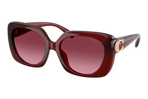 Sunglasses Coach CAD33 (HC8422U 58708H)