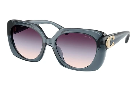 Sunglasses Coach CAD33 (HC8422U 5871U7)