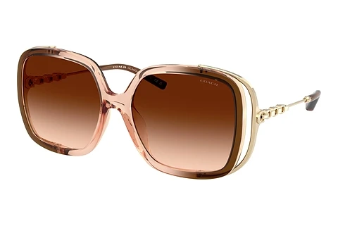 Sunglasses Coach CAD80 (HC8423U 576974)
