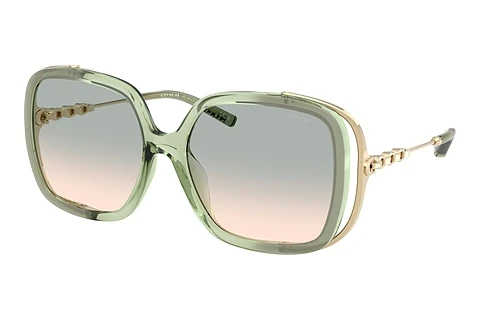 Sunglasses Coach CAD80 (HC8423U 58902C)