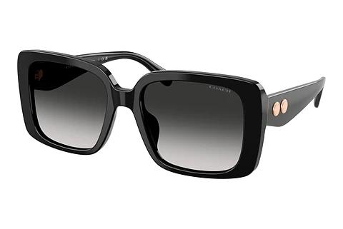 Sunglasses Coach CAD54 (HC8424U 50023C)