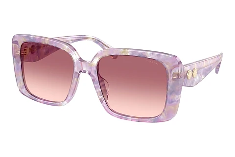 Sunglasses Coach CAD54 (HC8424U 58677W)
