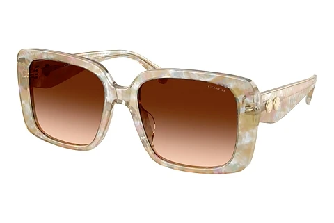 Sunglasses Coach CAD54 (HC8424U 586874)