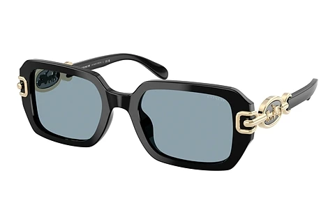 Sunglasses Coach CAD74 (HC8425U 500272)