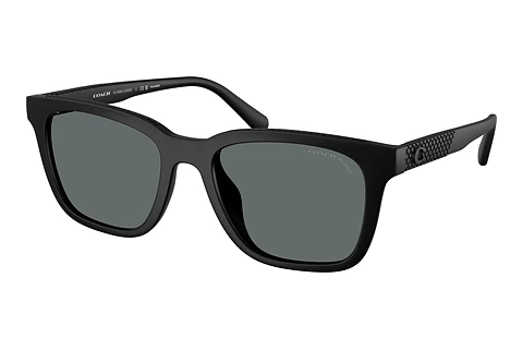 Sunglasses Coach CAD81 (HC8426U 500281)