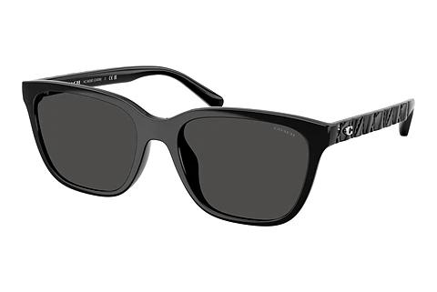 Sunglasses Coach CAE86 (HC8429D 500287)