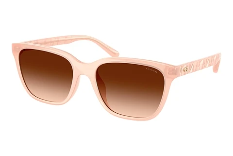 Sunglasses Coach CAE86 (HC8429D 511374)