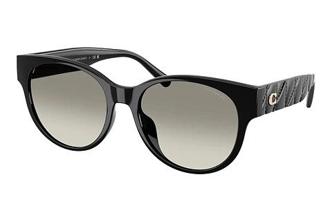 Sunglasses Coach CAE87 (HC8430D 50023C)