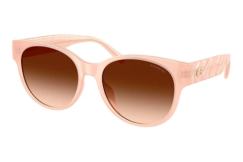 Sunglasses Coach CAE87 (HC8430D 511374)