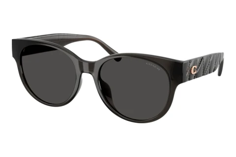 Sunglasses Coach CAE87 (HC8430D 589787)