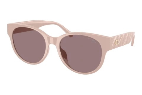 Sunglasses Coach CAE87 (HC8430D 59507N)