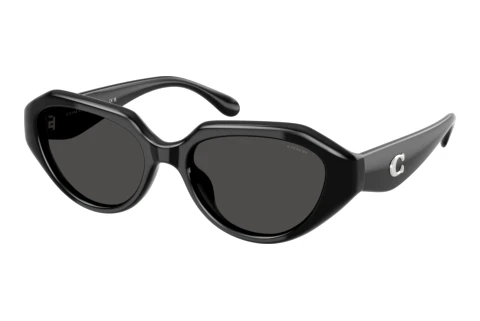 Sunglasses Coach CBY77 (HC8433U 500287)