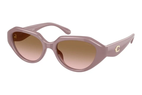 Sunglasses Coach CBY77 (HC8433U 549511)