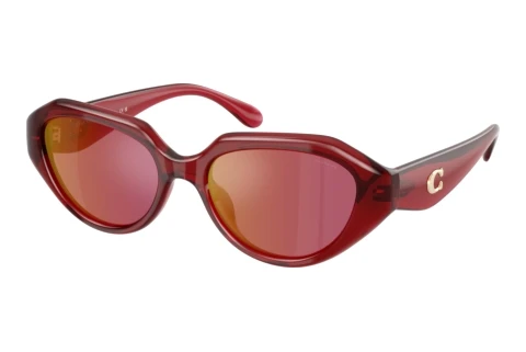 Sunglasses Coach CBY77 (HC8433U 5526D0)