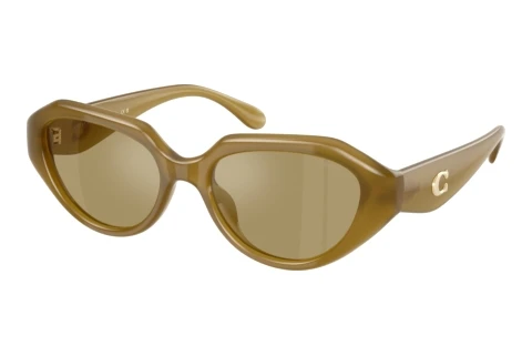 Sunglasses Coach CBY77 (HC8433U 590230)