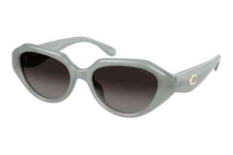 Sunglasses Coach CBY77 (HC8433U 5905T3)