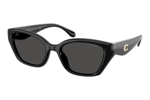 Sunglasses Coach CBY91 (HC8434U 500287)