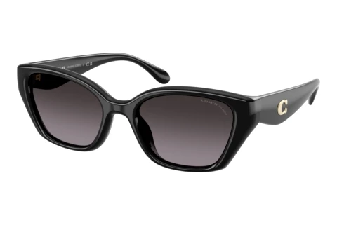 Sunglasses Coach CBY91 (HC8434U 5002F4)