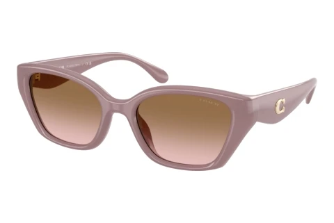 Sunglasses Coach CBY91 (HC8434U 549511)