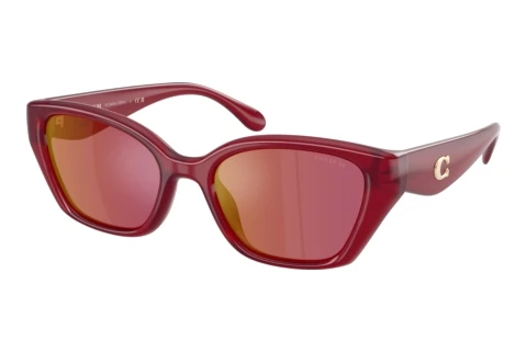 Sunglasses Coach CBY91 (HC8434U 5526D0)