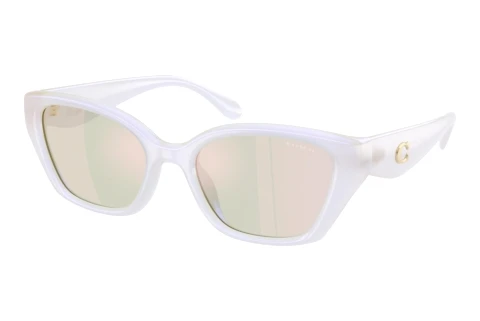 Sunglasses Coach CBY91 (HC8434U 5903RG)