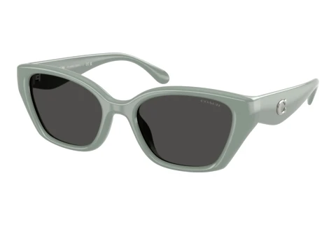 Sunglasses Coach CBY91 (HC8434U 592487)