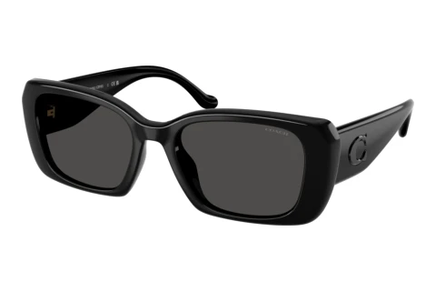 Sunglasses Coach CBY82 (HC8435U 500287)