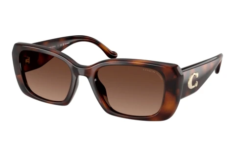 Sunglasses Coach CBY82 (HC8435U 5120T5)
