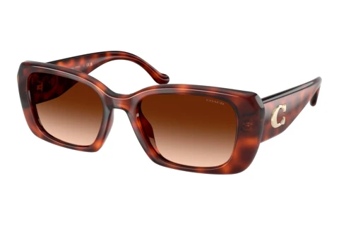 Sunglasses Coach CBY82 (HC8435U 577474)