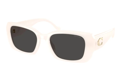 Sunglasses Coach CBY82 (HC8435U 579087)