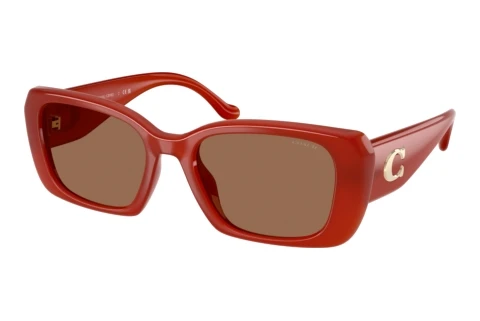 Sunglasses Coach CBY82 (HC8435U 591673)